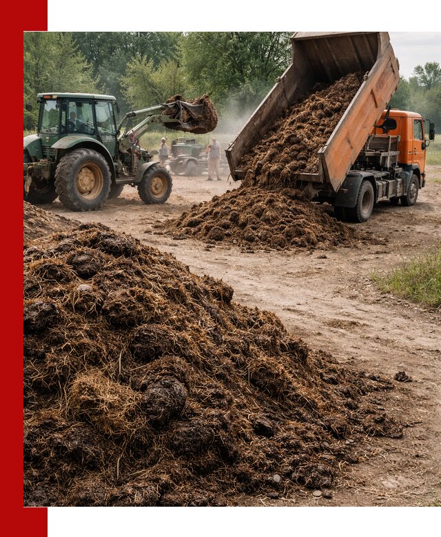 Доставка навоза самосвалами в клине для сельхозпотребностей